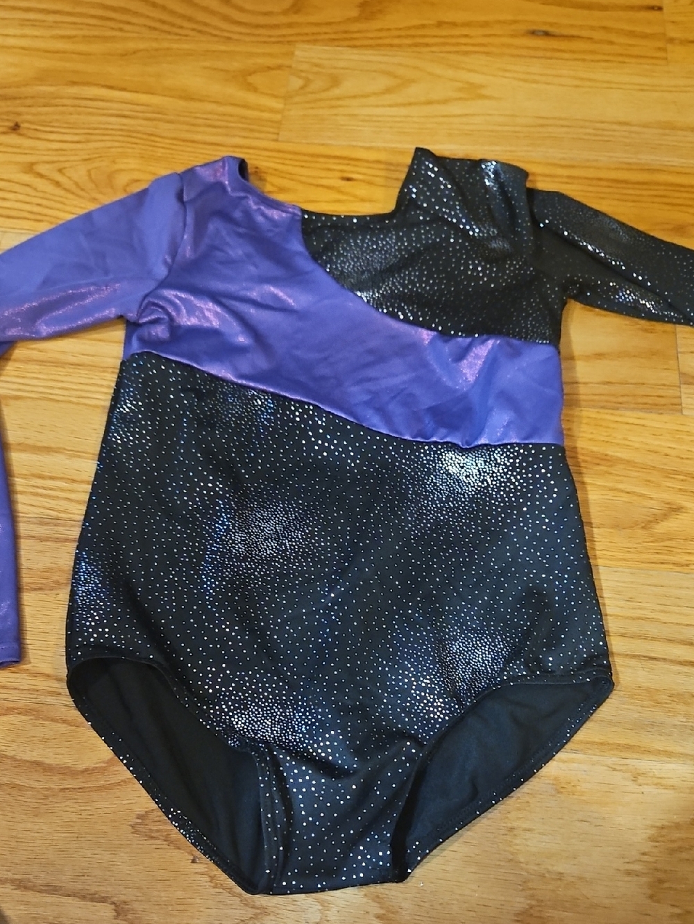 Purple and Black Sparkle Long Sleeve Leotard